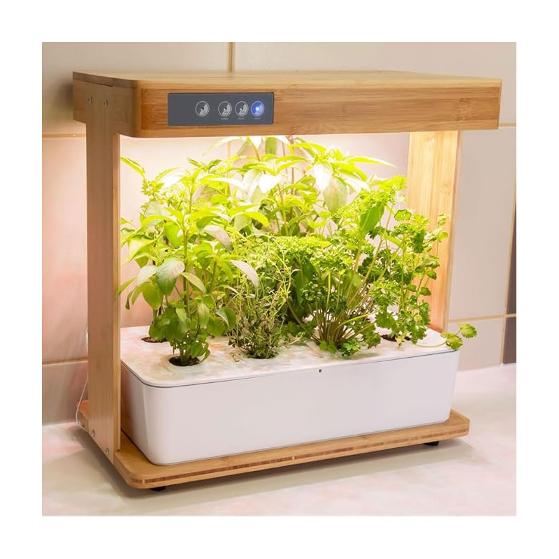 Potager hydroponique intérieur