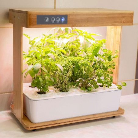 Potager hydroponique intérieur